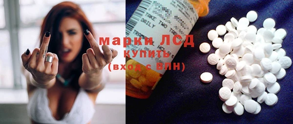 прущие грибы Богородицк