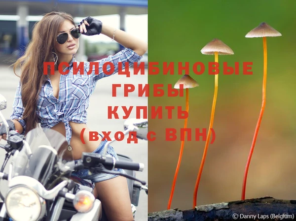 каннабис Железноводск