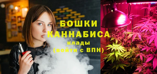 соль ск Богданович