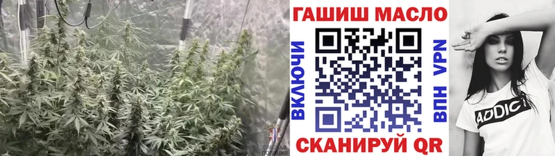 ТГК гашишное масло Няндома