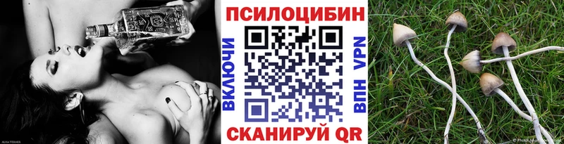 KRAKEN как зайти  Няндома  маркетплейс формула  цена наркотик  Галлюциногенные грибы прущие грибы 
